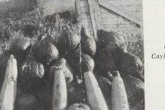 B0073-Under-the-Chinook-Arch-A-history-of-Cayley-surrounding-areas-Image-1a-of-4-scaled