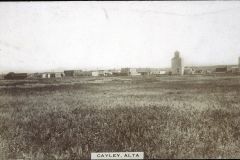 Banner-Image-800-x-500-7