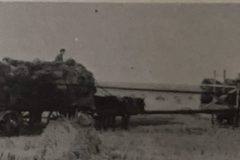 Old Farm Equipment