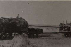 old-tractor-working